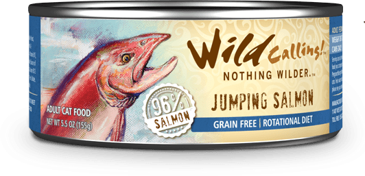 Jumping Salmon - Salmon Cat Food (6oz x 24)